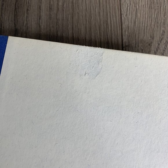 Belva Plain Lot of 7 Hard Cover Books Promises, Secrecy, Whispers, Etc - Picture 11 of 14